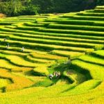 [HOT] Kinh nghiệm du lịch Pù Luông hấp dẫn nhất miền đất xứ Thanh