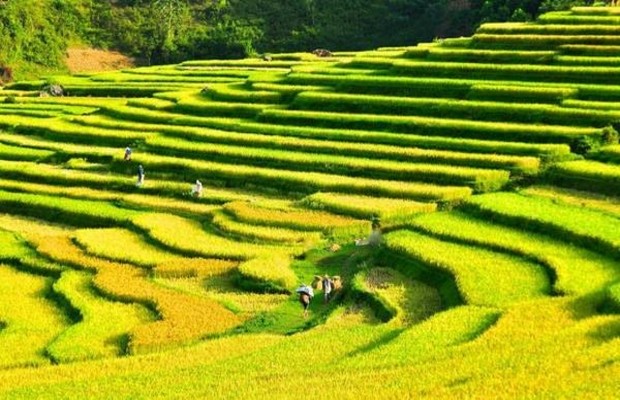 Kinh nghiệm du lịch Pù Luông hấp dẫn nhất miền đất xứ Thanh