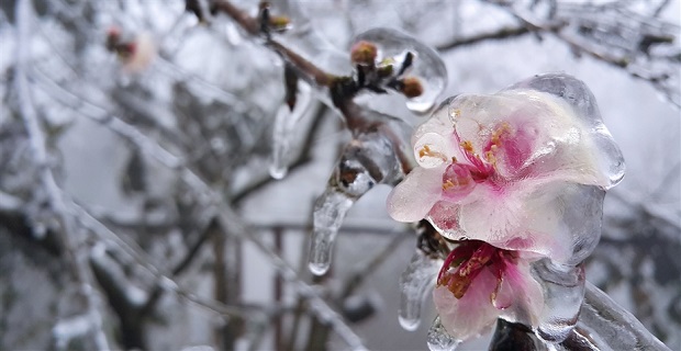 du lịch Sapa tháng 1