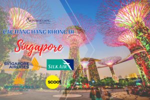 Tổng hợp các hãng hàng không đi Singapore giá rẻ, uy tín nhất