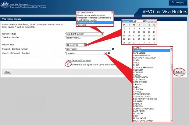 Điền đầy đủ các thông tin vào ứng dụng VEVO. xem kết quả visa úc online