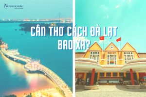 Cần Thơ đi Đà Lạt bao nhiêu km? Có nên đi máy bay không?