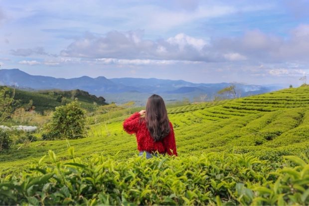 du lịch Đà Lạt tháng 1