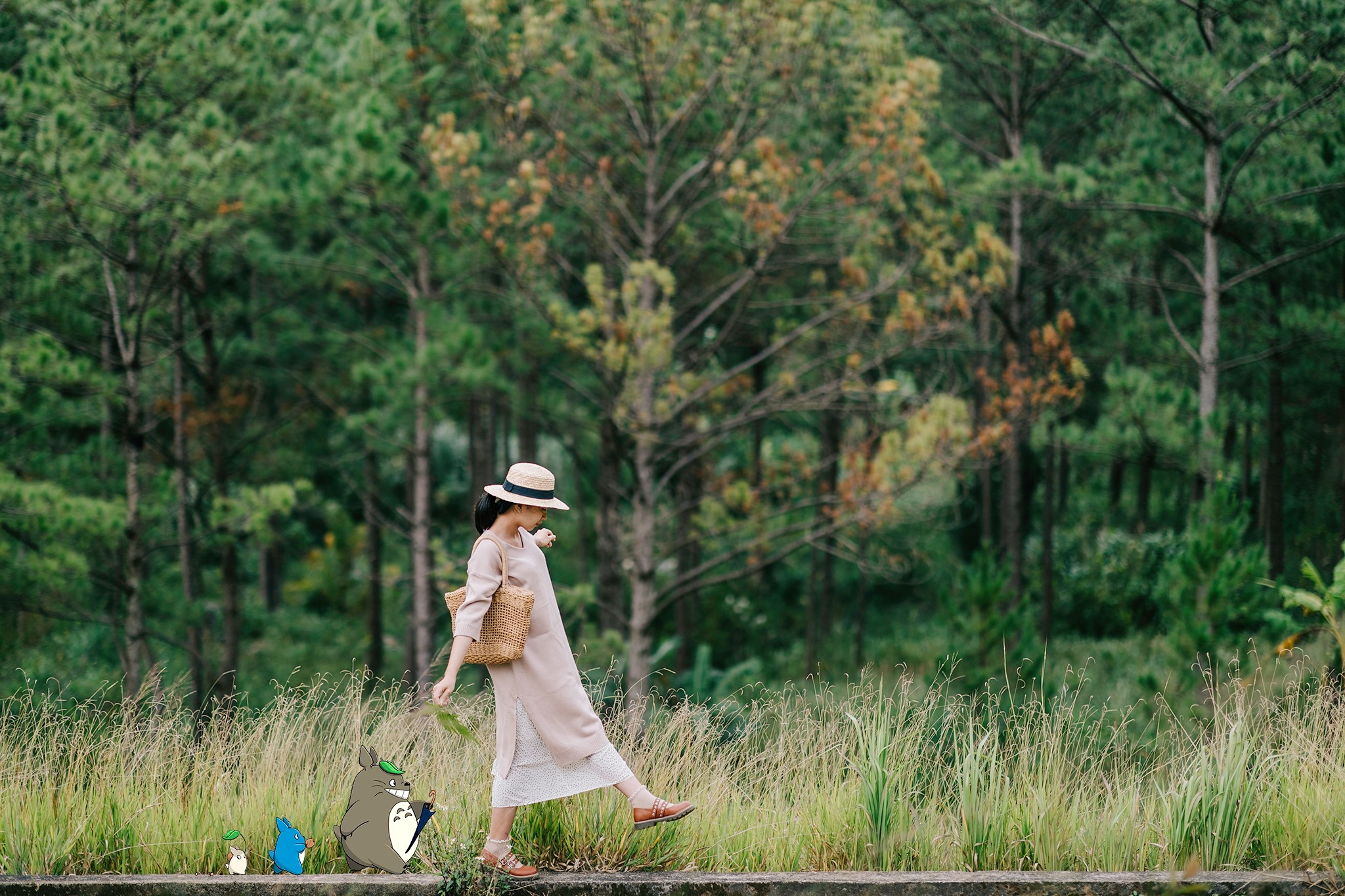 du lịch Đà Lạt tháng 1