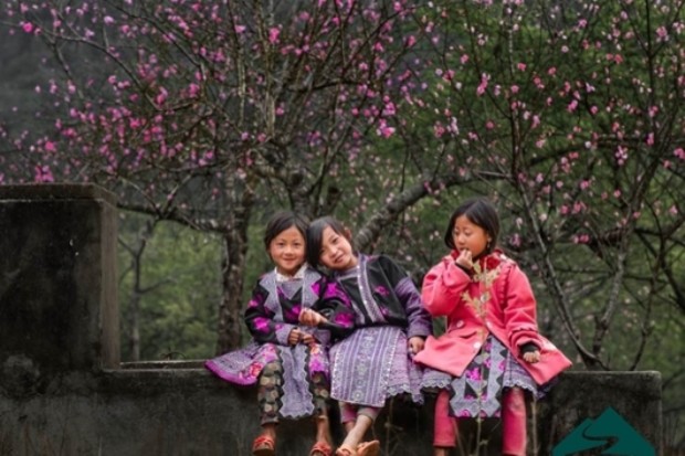 Tết nên đi du lịch ở đâu trong nước