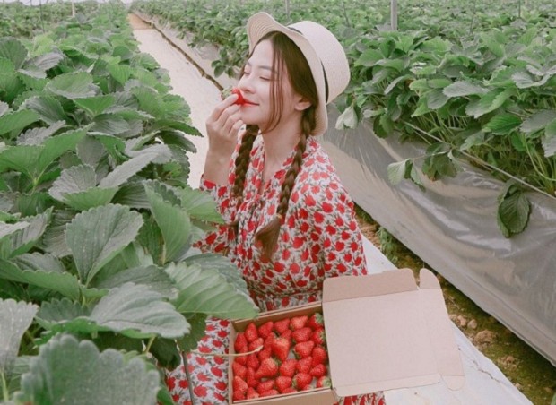 Tết nên đi du lịch ở đâu trong nước