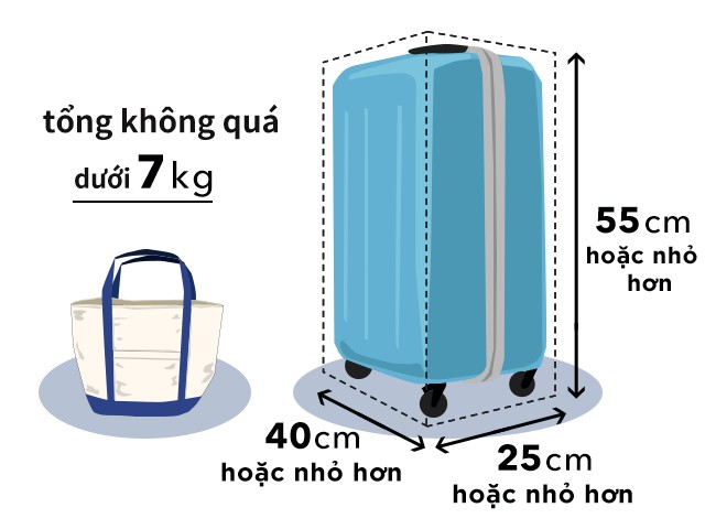 h&agrave;nh l&yacute; Vanilla Airlines