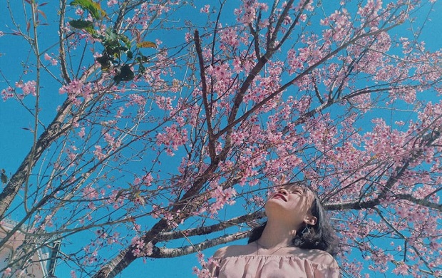 du lịch Đà Lạt tháng 1