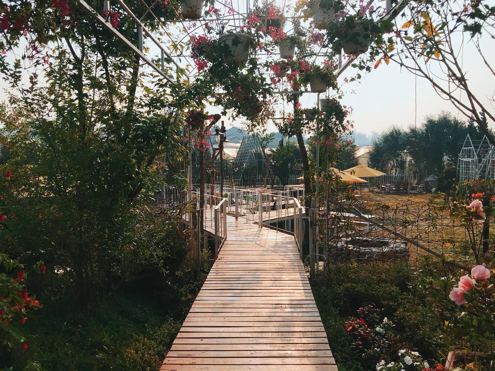 Bungalow Đà Lạt  