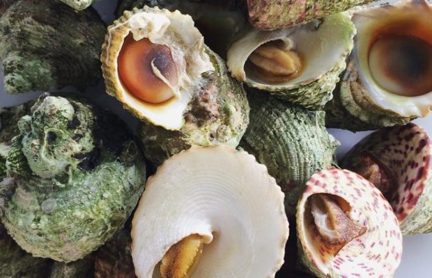 Kinh nghiệm du lịch Vĩnh Hy