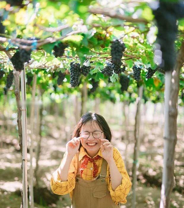 Kinh nghiệm du lịch Ninh Chữ