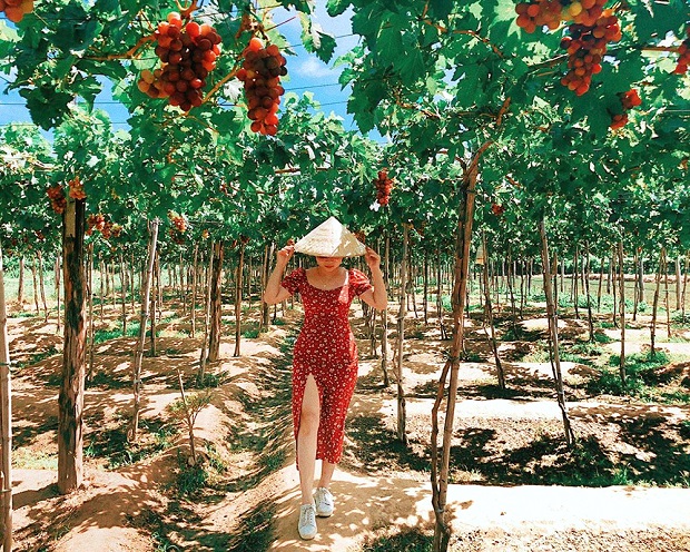 Kinh nghiệm du lịch Ninh Chữ