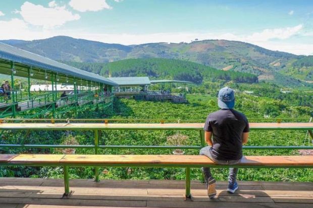 Kinh nghiệm du lịch Đà Lạt - Đồn điền cà phê Mê Linh