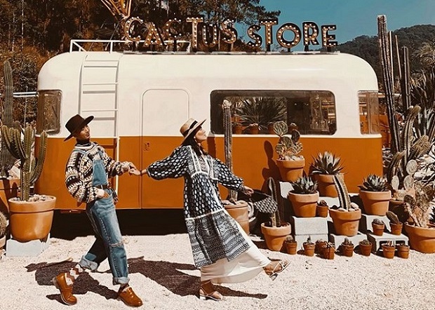 du lịch Đà Lạt tháng 1