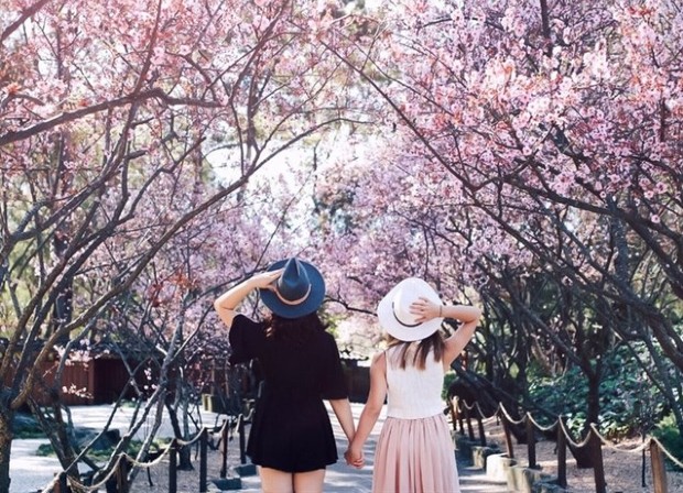 Tết nên đi du lịch ở đâu trong nước