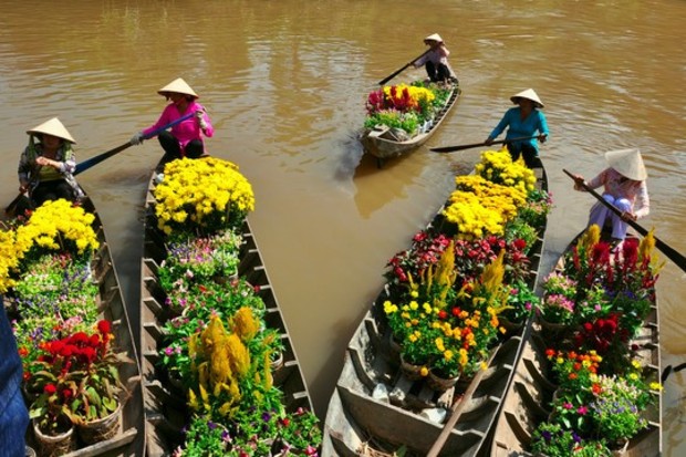 Tết nên đi du lịch ở đâu trong nước