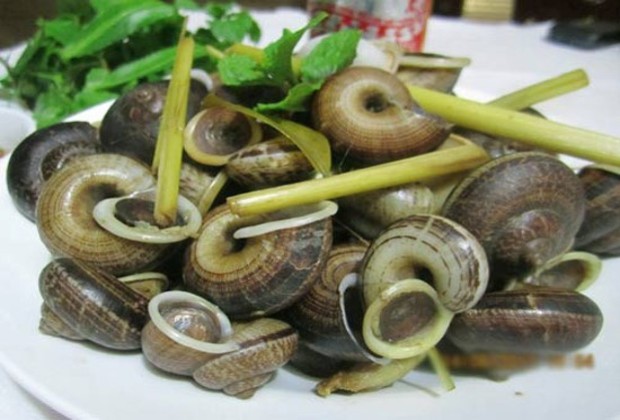 Kinh nghiệm du lịch P&ugrave; Lu&ocirc;ng