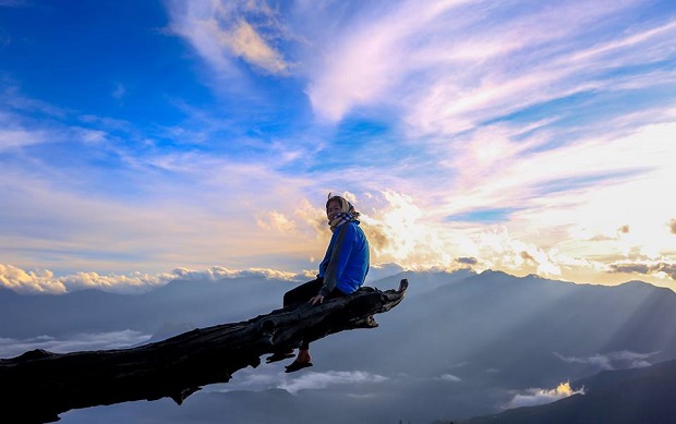 săn mây Tây Bắc