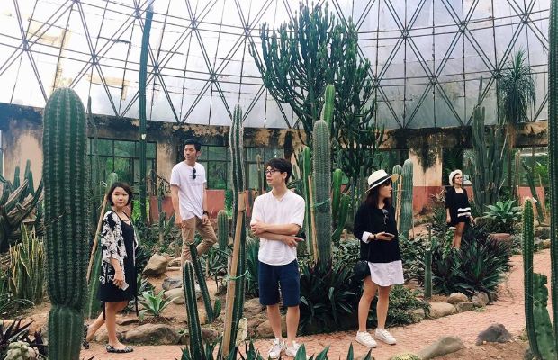 Tết dương lịch đi đâu chơi - Ba Vì