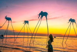 Tổng thời gian bay Sài Gòn Phú Quốc | Săn vé hãng nào rẻ nhất?