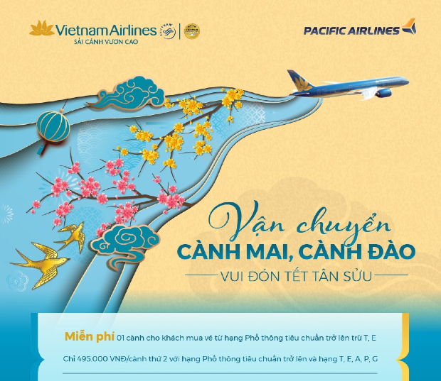 vé máy bay tết Vietnam Airlines
