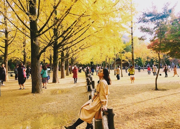 thủ tục xin visa hàn quốc