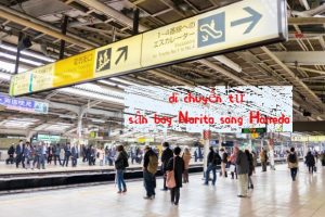 Hướng dẫn di chuyển từ sân bay Narita sang Haneda nhanh chóng