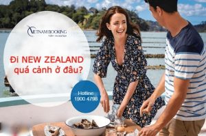 Đi New Zealand quá cảnh ở đâu, chọn hãng bay nào giá rẻ nhất