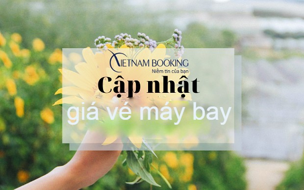 gi&aacute; v&eacute; m&aacute;y bay h&ocirc;m nay