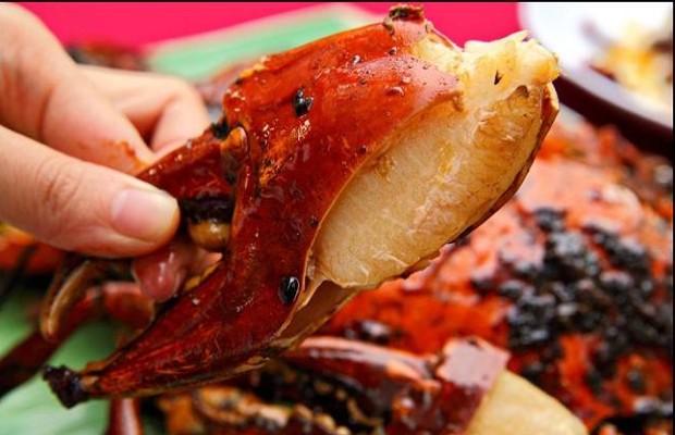 kinh nghiệm du lịch Cù Lao Chàm