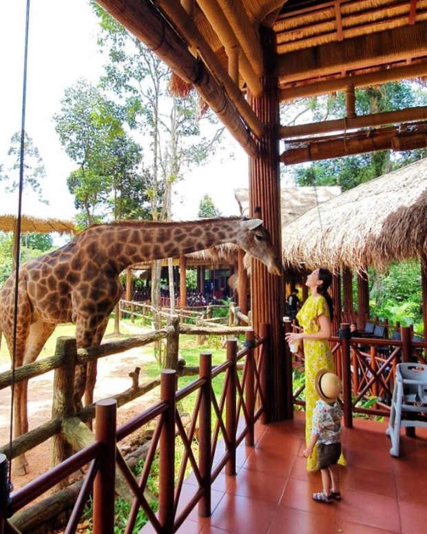 Ph&uacute; Quốc c&oacute; g&igrave; chơi