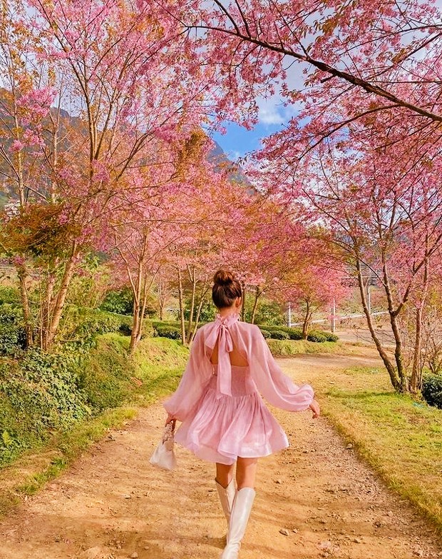 Tết đi đâu chơi ở miền Bắc