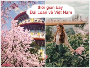 Thời gian bay từ Đài Loan về Việt Nam các hãng hàng không