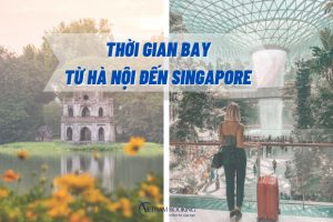 Thời gian bay từ Hà Nội đến Singapore | Hãng nào khai thác chuyến bay?