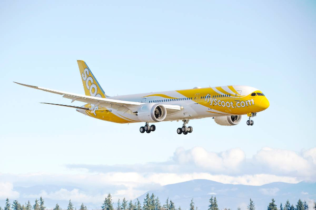 v&eacute; m&aacute;y bay Scoot Air