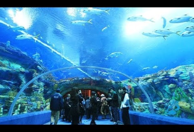 Vinpearl Discovery 1 Nha Trang review