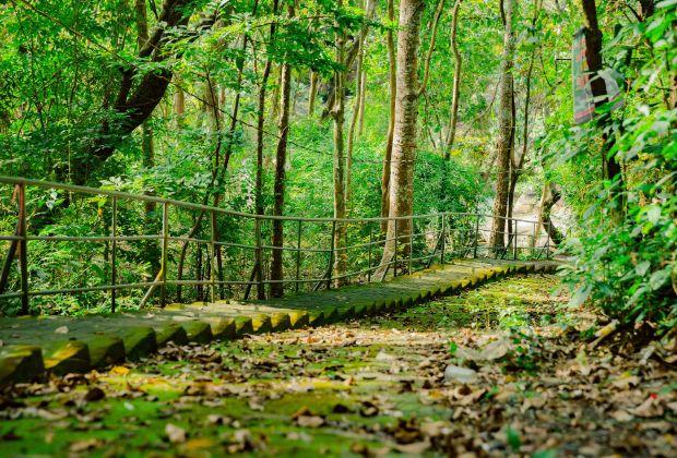 Du lịch Tết Vũng Tàu - núi Dinh
