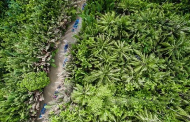 Du lịch Thới Sơn 2021 | Kinh nghiệm đi chơi miền sông nước