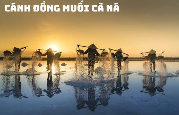 Tour Ninh Chữ Vĩnh Hy 3N2Đ: Khám Phá Thiên Đường Biển Đảo Hoang Sơ Đẹp Mê Hồn