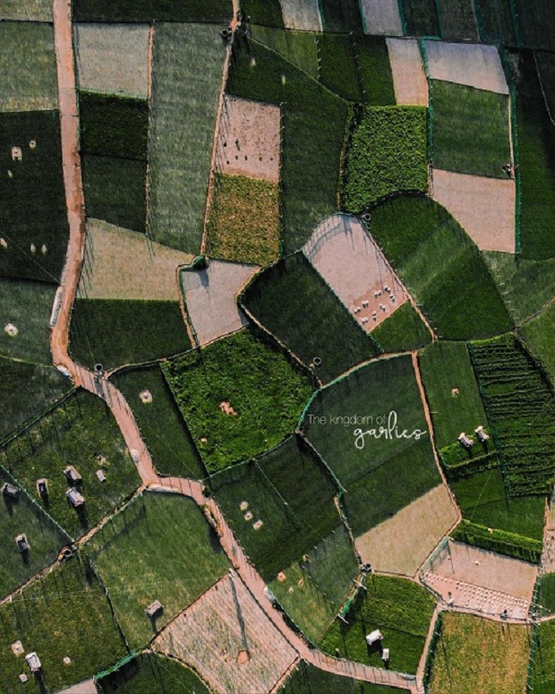 Du lịch Lý Sơn tháng 4