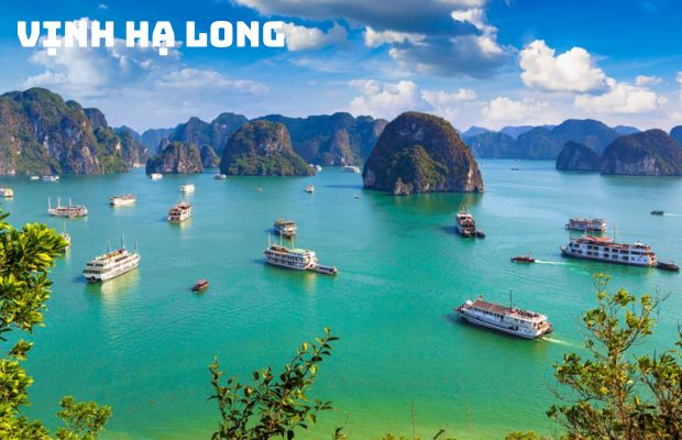 Tour du lịch Hà Nội – Sapa – Hạ Long – Ninh Bình 5N4Đ | Khám phá danh thắng miền Bắc