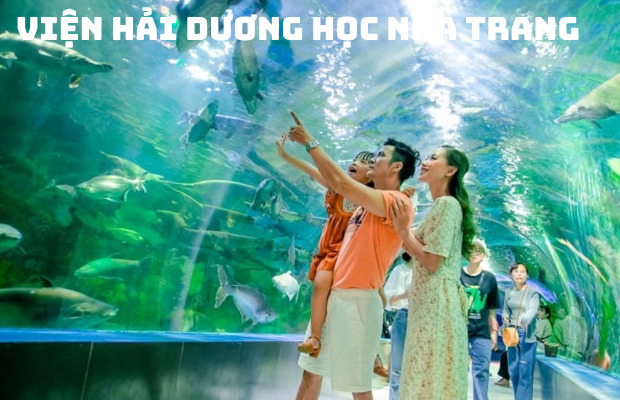 Tour Nha Trang 1 ngày | Viện Hải dương học – Chùa Long Sơn – Tháp Bà Ponagar
