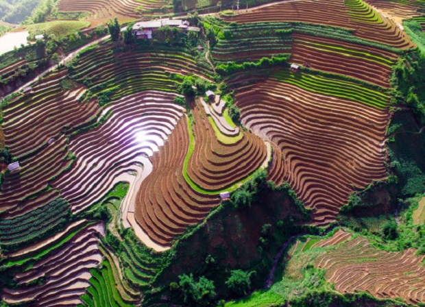 du lịch Mộc Châu tháng 5