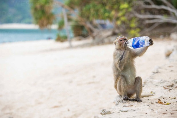 Kinh nghiệm du lịch Cát Bà