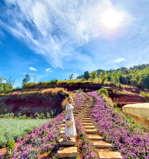 vé máy bay đi Đà Lạt