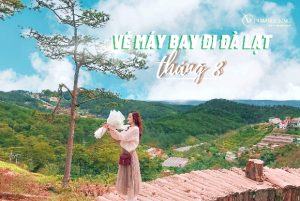 Vé máy bay đi Đà Lạt tháng 8, khuyến mãi chỉ từ 99.000Đ