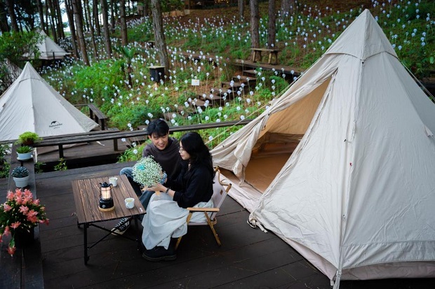 Khách sạn Đà Lạt 4 sao - Lavender Glamping and Resort Dalat