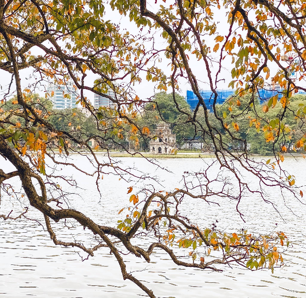 mùa thu Hà Nội