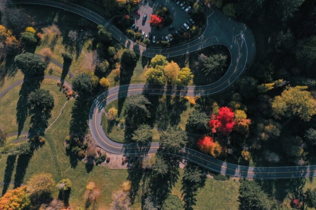 M&ugrave;a thu tại Washington Park, Portland (Oregon) với những h&agrave;ng c&acirc;y rực sắc v&agrave;ng, đỏ đặc trưng