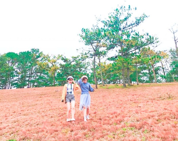 Vé máy bay Vietnam Airlines đi Đà Lạt tháng 11